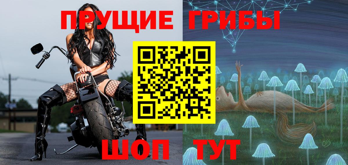 Учалы  Псилоцибиновые грибы Psilocybe  Вход с VPN 