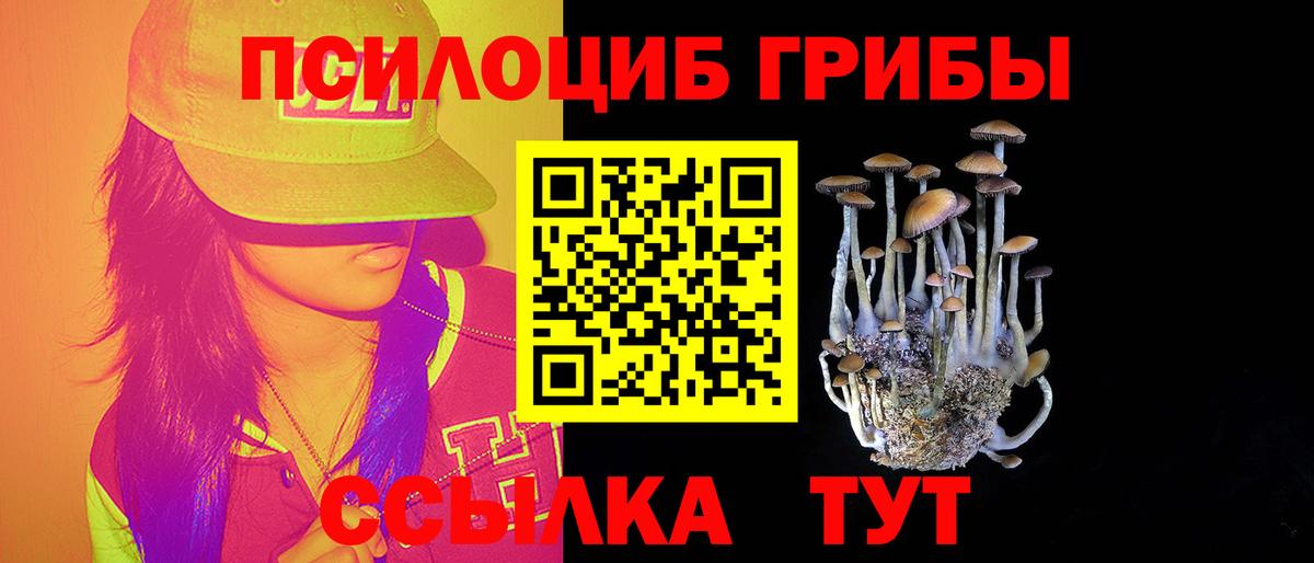 Псилоцибиновые грибы Psilocybe Учалы